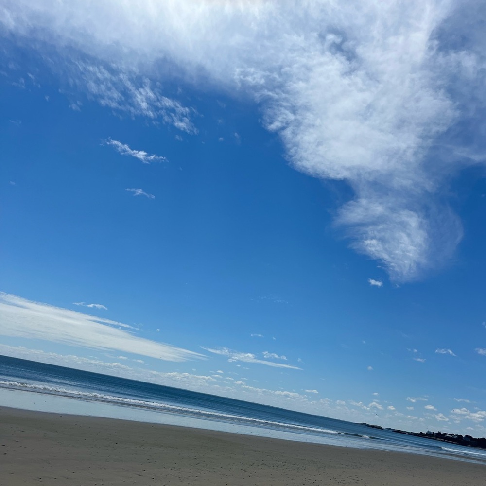 Meet your Posher, Ali